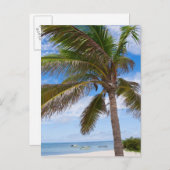 Aruba, palmboom op het strand briefkaart (Voorkant / Achterkant)