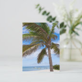 Aruba, palmboom op het strand briefkaart (Staand voorkant)