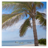 Aruba, palmboom op het strand tegeltje (Voorkant)