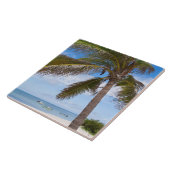 Aruba, palmboom op het strand tegeltje (Zijkant)