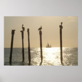 Aruba Poster (Voorkant)