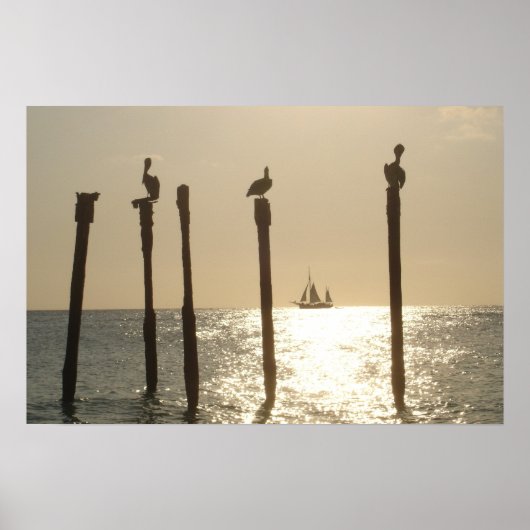 Aruba Poster (Voorkant)