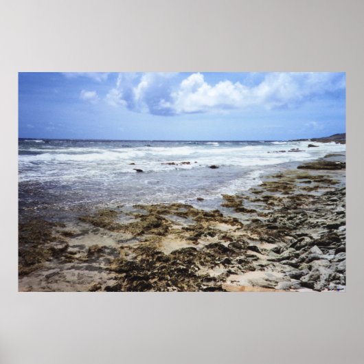 Aruba Rotsachtige Oceaan Poster (Voorkant)