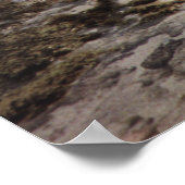 Aruba Rotsachtige Oceaan Poster (Hoek)