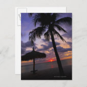 Aruba, silhouet van palmbomen en palapa briefkaart (Voorkant / Achterkant)