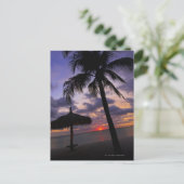 Aruba, silhouet van palmbomen en palapa briefkaart (Staand voorkant)