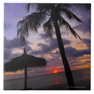 Aruba, silhouet van palmbomen en palapa tegeltje