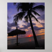 Aruba, silhouette of palm tree and palapa poster (Voorkant)