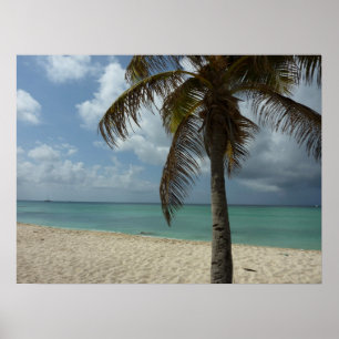 Arubaans strand I Mooie natuur scène Poster
