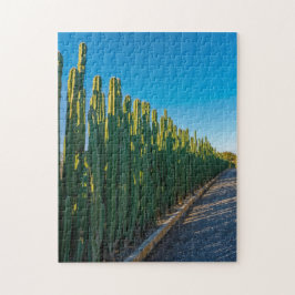 Arubaanse cactusomheining legpuzzel