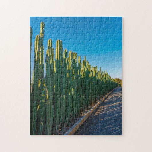 Arubaanse cactusomheining legpuzzel (Verticaal)