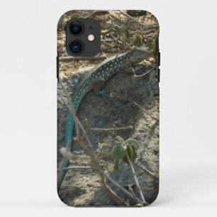 Arubaanse Zweepslanghagedis Tropische Dierenfotogr iPhone 11 Hoesje