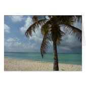 Aruban Beach I Beauful Natuur Scene (Voorkant Horizontaal)