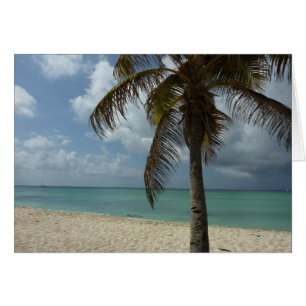 Aruban Beach I Beauful Natuur Scene