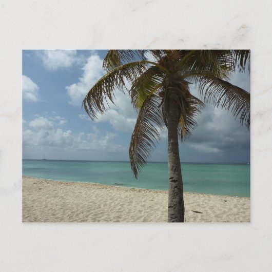 Aruban Beach I Beauful Natuur Scene Briefkaart (Voorkant)