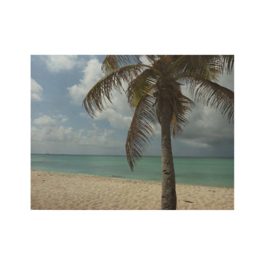 Aruban Beach I Beauful Natuur Scene Houten Poster (Voorkant)