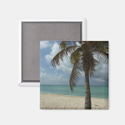 Aruban Beach I Beauful Natuur Scene Magneet (Voorkant / Achterkant)