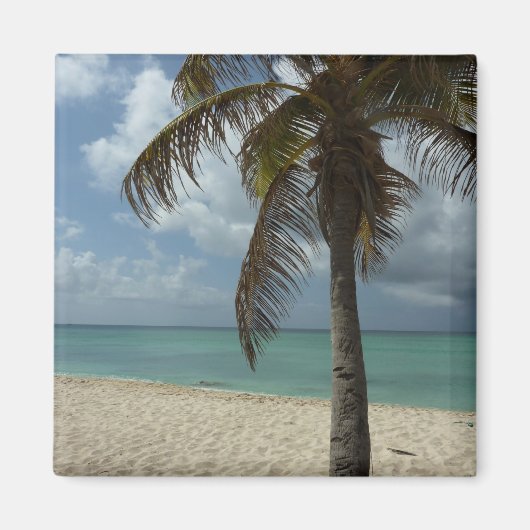 Aruban Beach I Beauful Natuur Scene Magneet (Voorkant)
