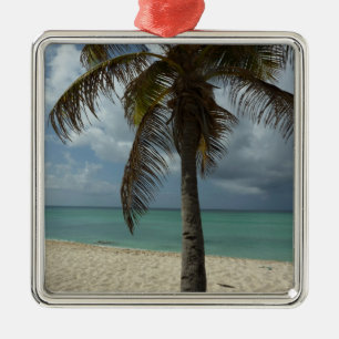 Aruban Beach I Beauful Natuur Scene Metalen Ornament