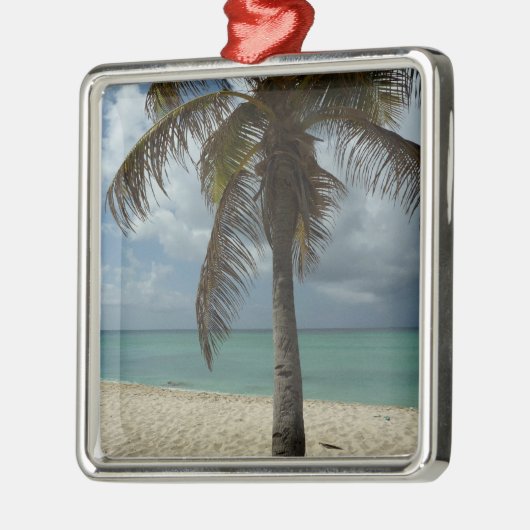 Aruban Beach I Beauful Natuur Scene Metalen Ornament (Links)