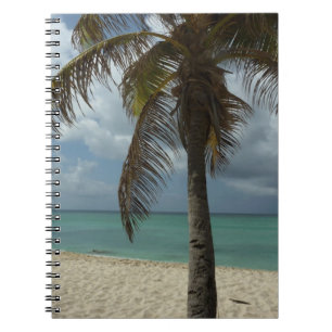 Aruban Beach I Beauful Natuur Scene Notitieboek