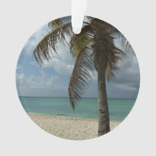 Aruban Beach I Beauful Natuur Scene Ornament