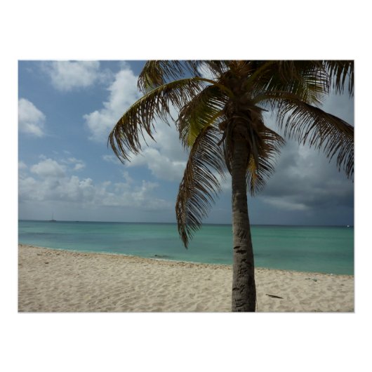 Aruban Beach I Beauful Natuur Scene Poster (Voorkant)
