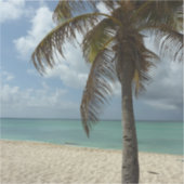 Aruban Beach I Beauful Natuur Scene Sticker (Voorkant)