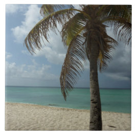 Aruban Beach I Beauful Natuur Scene Tegeltje