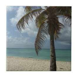 Aruban Beach I Beauful Natuur Scene Tegeltje