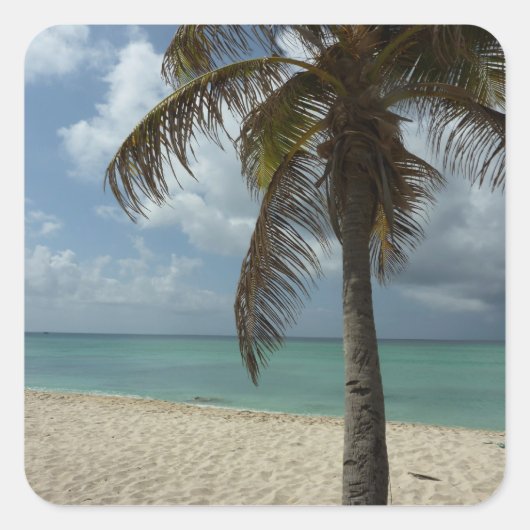 Aruban Beach I Beauful Natuur Scene Vierkante Sticker (Voorkant)