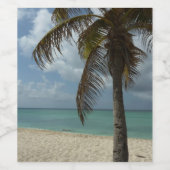 Aruban Beach I Beauful Natuur Scene Wijn Etiket (Enkel label)