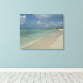 Aruban Beach II Beauful Natuur Scene Canvas Afdruk (Insitu (Houten vloer))