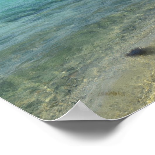 Aruban Beach Poster (Hoek)