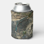 Aruban Whiptail Lizard tropische dierfotografie Blikjeskoeler (Blikje Achterkant)