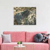 Aruban Whiptail Lizard tropische dierfotografie Canvas Afdruk (Insitu (Woonkamer))