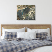 Aruban Whiptail Lizard tropische dierfotografie Canvas Afdruk (Insitu (Slaapkamer))