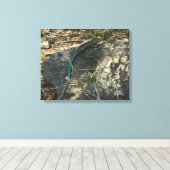 Aruban Whiptail Lizard tropische dierfotografie Canvas Afdruk (Insitu (Houten vloer))