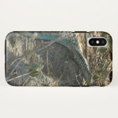Aruban Whiptail Lizard tropische dierfotografie Case-Mate iPhone Case (Achterkant (horizontaal))