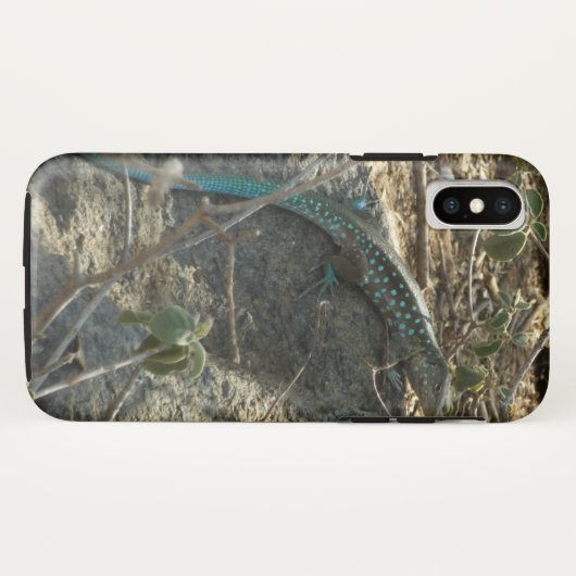Aruban Whiptail Lizard tropische dierfotografie Case-Mate iPhone Case (Achterkant (horizontaal))