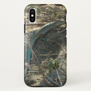 Aruban Whiptail Lizard tropische dierfotografie Case-Mate iPhone Case