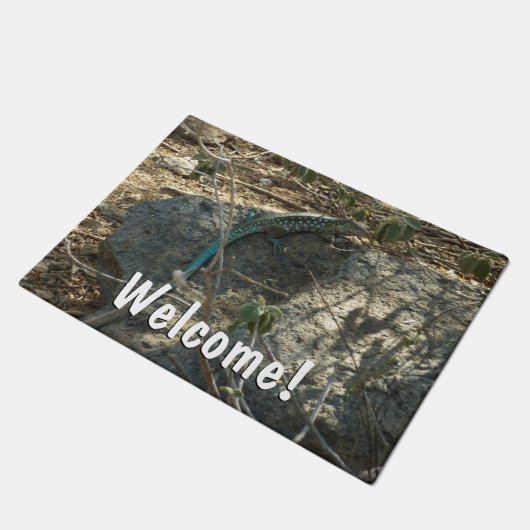 Aruban Whiptail Lizard tropische dierfotografie Deurmat (Schuin)