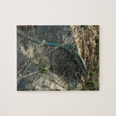 Aruban Whiptail Lizard tropische dierfotografie Legpuzzel (Horizontaal)