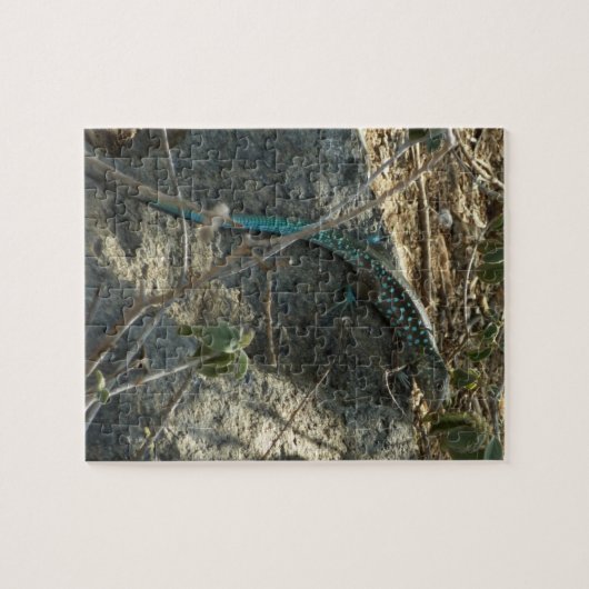 Aruban Whiptail Lizard tropische dierfotografie Legpuzzel (Horizontaal)