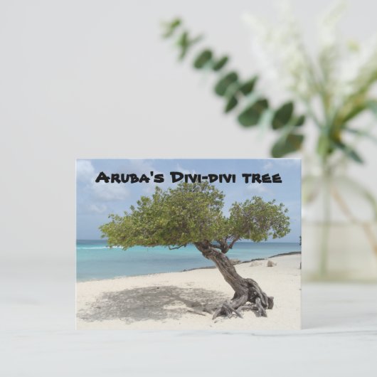 Aruba's briefkaart van de Divi-divi-boom (Staand voorkant)