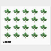 Arugula Plastic 3D – Glanzend rond etiket (Vel)