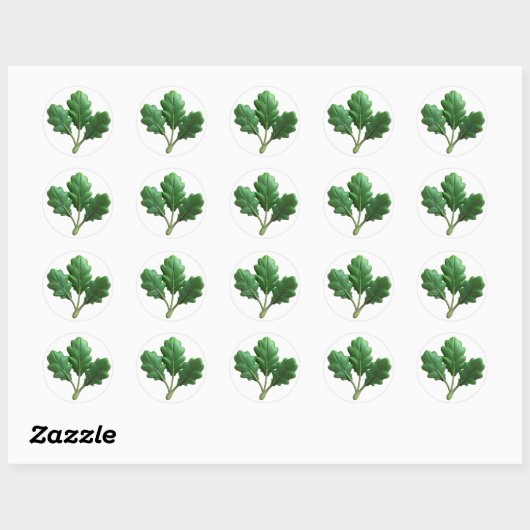 Arugula Plastic 3D – Glanzend rond etiket (Vel)