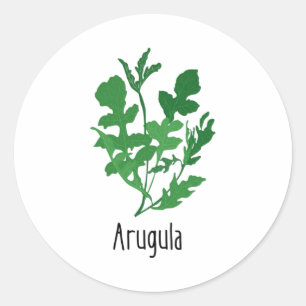 Arugula Spices Herbs Ronde Sticker