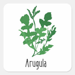 Arugula Spices Herbs Vierkante Sticker