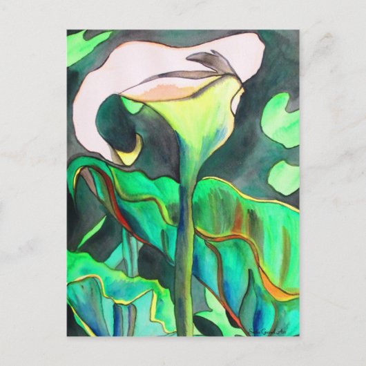 Arum Lily waterverf originele kunst schilderij Briefkaart (Voorkant)